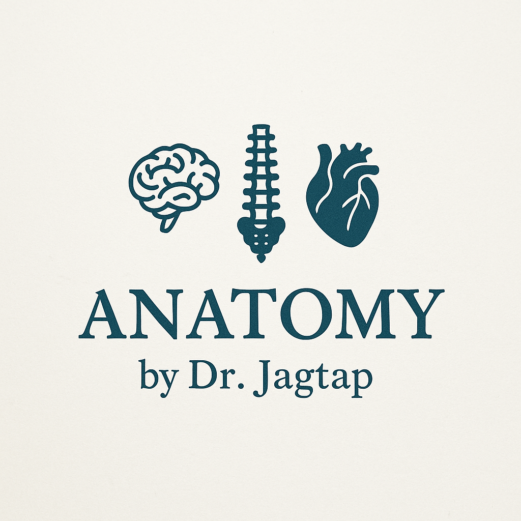 Anatomy By Dr. Jagtap single feature